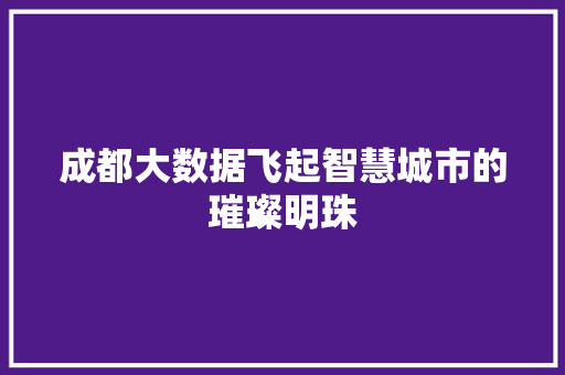 成都大数据飞起智慧城市的璀璨明珠