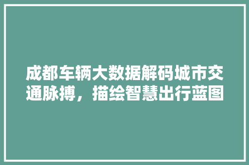 成都车辆大数据解码城市交通脉搏，描绘智慧出行蓝图  第1张