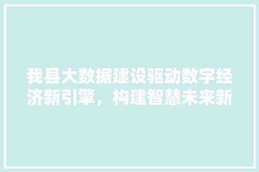 我县大数据建设驱动数字经济新引擎，构建智慧未来新蓝图  第1张