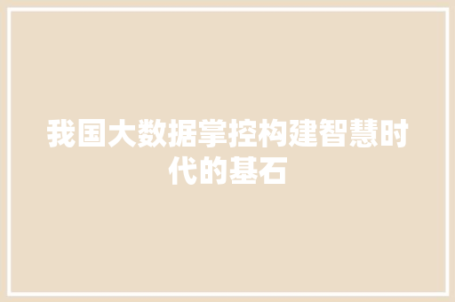 我国大数据掌控构建智慧时代的基石