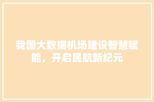 我国大数据机场建设智慧赋能，开启民航新纪元