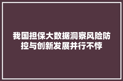 我国担保大数据洞察风险防控与创新发展并行不悖