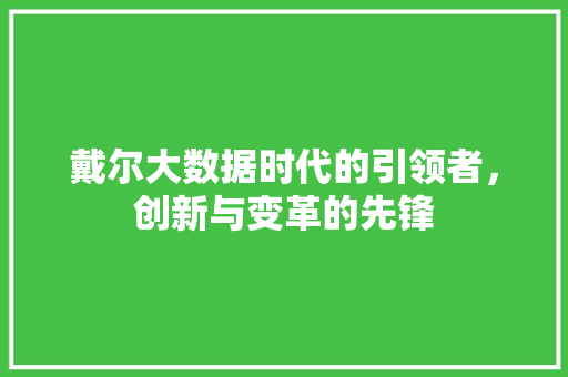 戴尔大数据时代的引领者，创新与变革的先锋