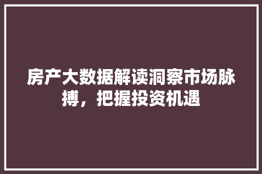房产大数据解读洞察市场脉搏，把握投资机遇