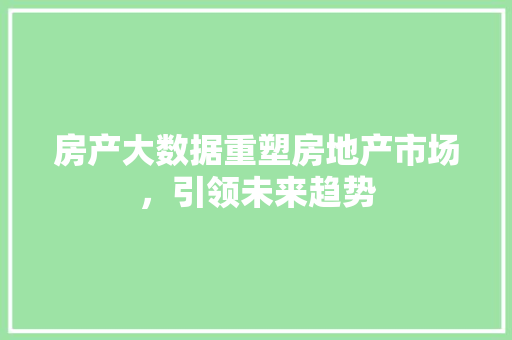 房产大数据重塑房地产市场，引领未来趋势