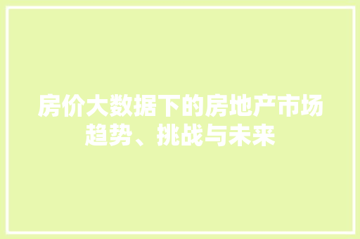 房价大数据下的房地产市场趋势、挑战与未来