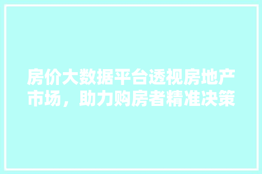房价大数据平台透视房地产市场，助力购房者精准决策