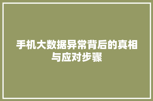手机大数据异常背后的真相与应对步骤