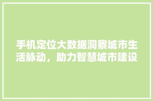 手机定位大数据洞察城市生活脉动，助力智慧城市建设