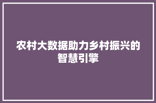 农村大数据助力乡村振兴的智慧引擎  第1张