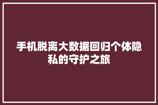 手机脱离大数据回归个体隐私的守护之旅