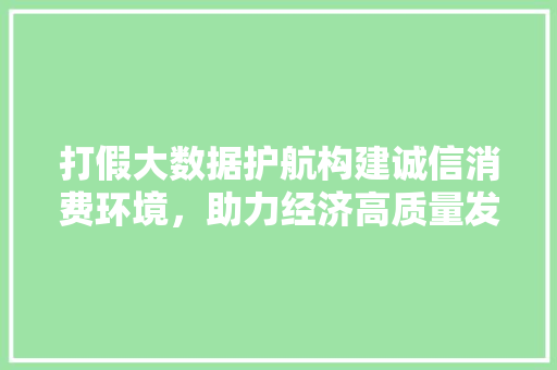 打假大数据护航构建诚信消费环境，助力经济高质量发展