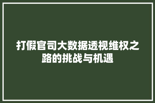 打假官司大数据透视维权之路的挑战与机遇