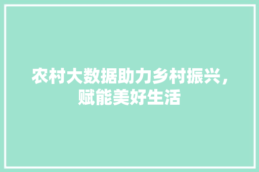 农村大数据助力乡村振兴，赋能美好生活