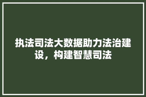 执法司法大数据助力法治建设，构建智慧司法  第1张