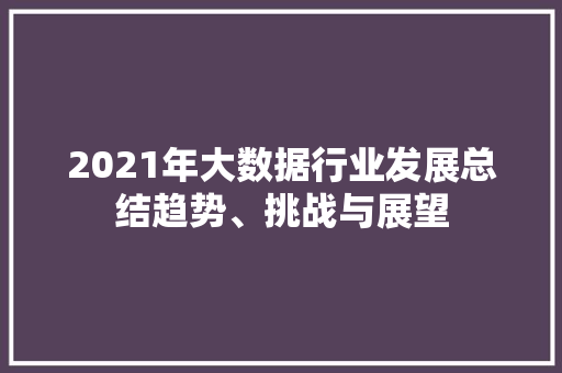 2021年大数据行业发展总结趋势、挑战与展望  第1张