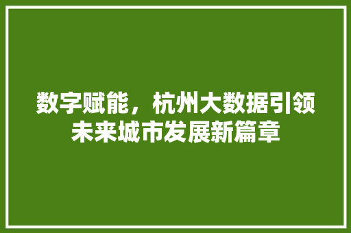 数字赋能，杭州大数据引领未来城市发展新篇章  第1张