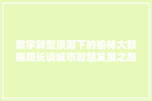 数字转型浪潮下的榆林大数据局长谈城市智慧发展之路