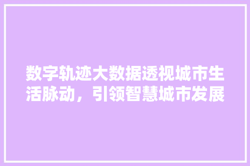 数字轨迹大数据透视城市生活脉动，引领智慧城市发展新潮流  第1张