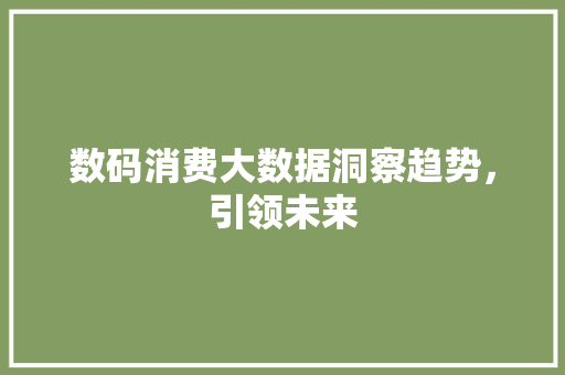数码消费大数据洞察趋势，引领未来