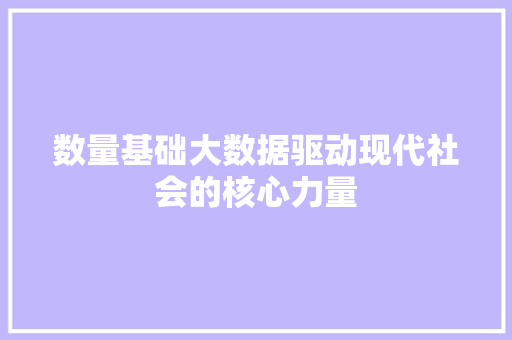 数量基础大数据驱动现代社会的核心力量