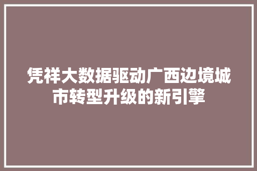 凭祥大数据驱动广西边境城市转型升级的新引擎
