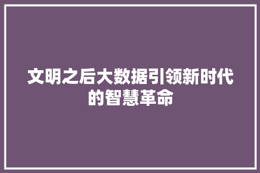 文明之后大数据引领新时代的智慧革命  第1张