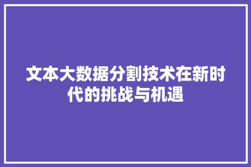 文本大数据分割技术在新时代的挑战与机遇