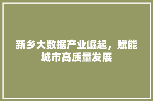 新乡大数据产业崛起，赋能城市高质量发展