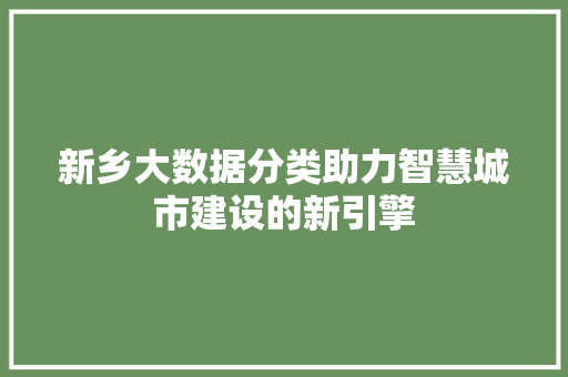 新乡大数据分类助力智慧城市建设的新引擎