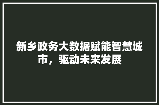 新乡政务大数据赋能智慧城市，驱动未来发展