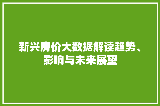 新兴房价大数据解读趋势、影响与未来展望  第1张