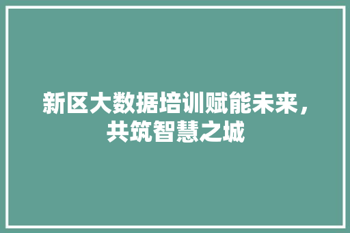 新区大数据培训赋能未来，共筑智慧之城