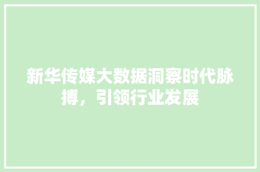 新华传媒大数据洞察时代脉搏，引领行业发展