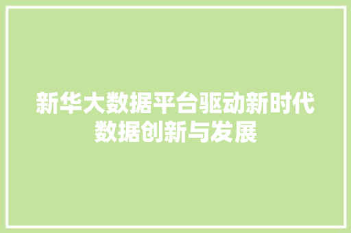 新华大数据平台驱动新时代数据创新与发展