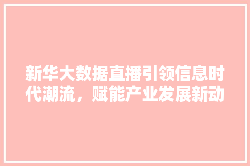 新华大数据直播引领信息时代潮流，赋能产业发展新动能