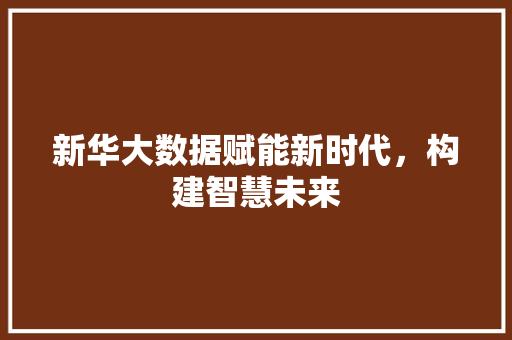 新华大数据赋能新时代，构建智慧未来