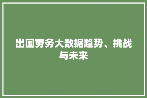 出国劳务大数据趋势、挑战与未来