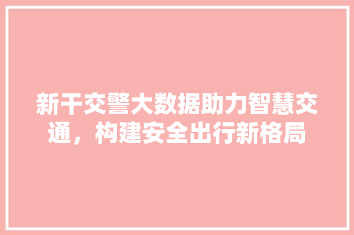 新干交警大数据助力智慧交通，构建安全出行新格局  第1张
