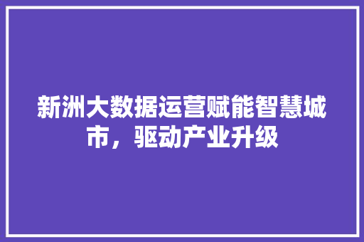 新洲大数据运营赋能智慧城市，驱动产业升级  第1张