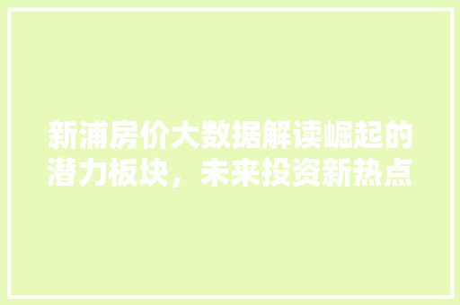 新浦房价大数据解读崛起的潜力板块，未来投资新热点