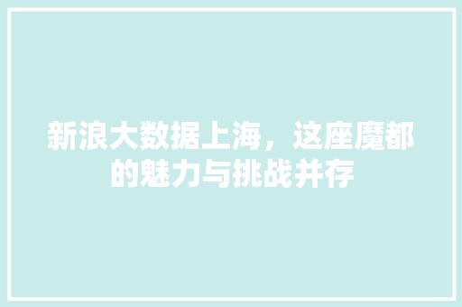 新浪大数据上海，这座魔都的魅力与挑战并存
