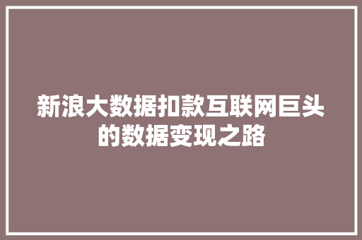 新浪大数据扣款互联网巨头的数据变现之路
