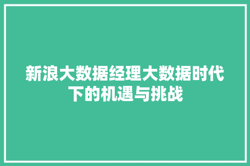 新浪大数据经理大数据时代下的机遇与挑战  第1张