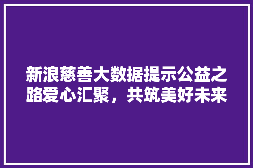 新浪慈善大数据提示公益之路爱心汇聚，共筑美好未来