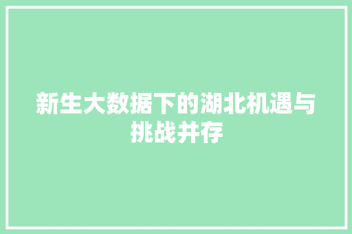 新生大数据下的湖北机遇与挑战并存