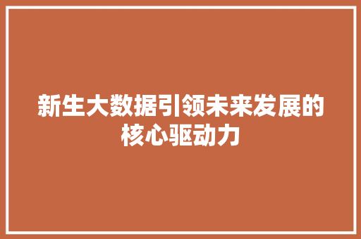 新生大数据引领未来发展的核心驱动力