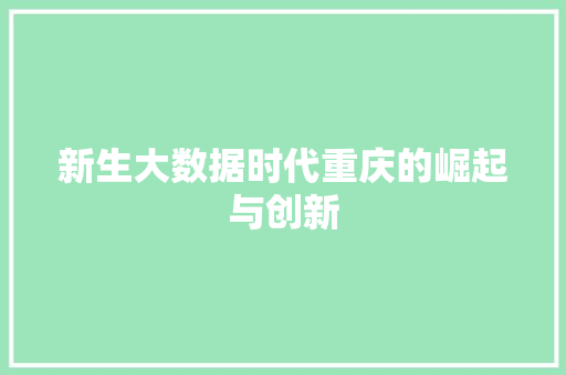 新生大数据时代重庆的崛起与创新  第1张