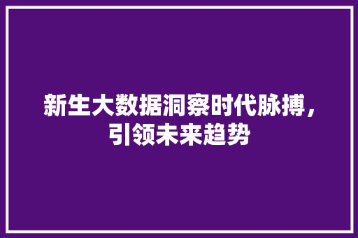 新生大数据洞察时代脉搏，引领未来趋势  第1张