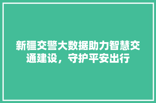 新疆交警大数据助力智慧交通建设，守护平安出行  第1张
